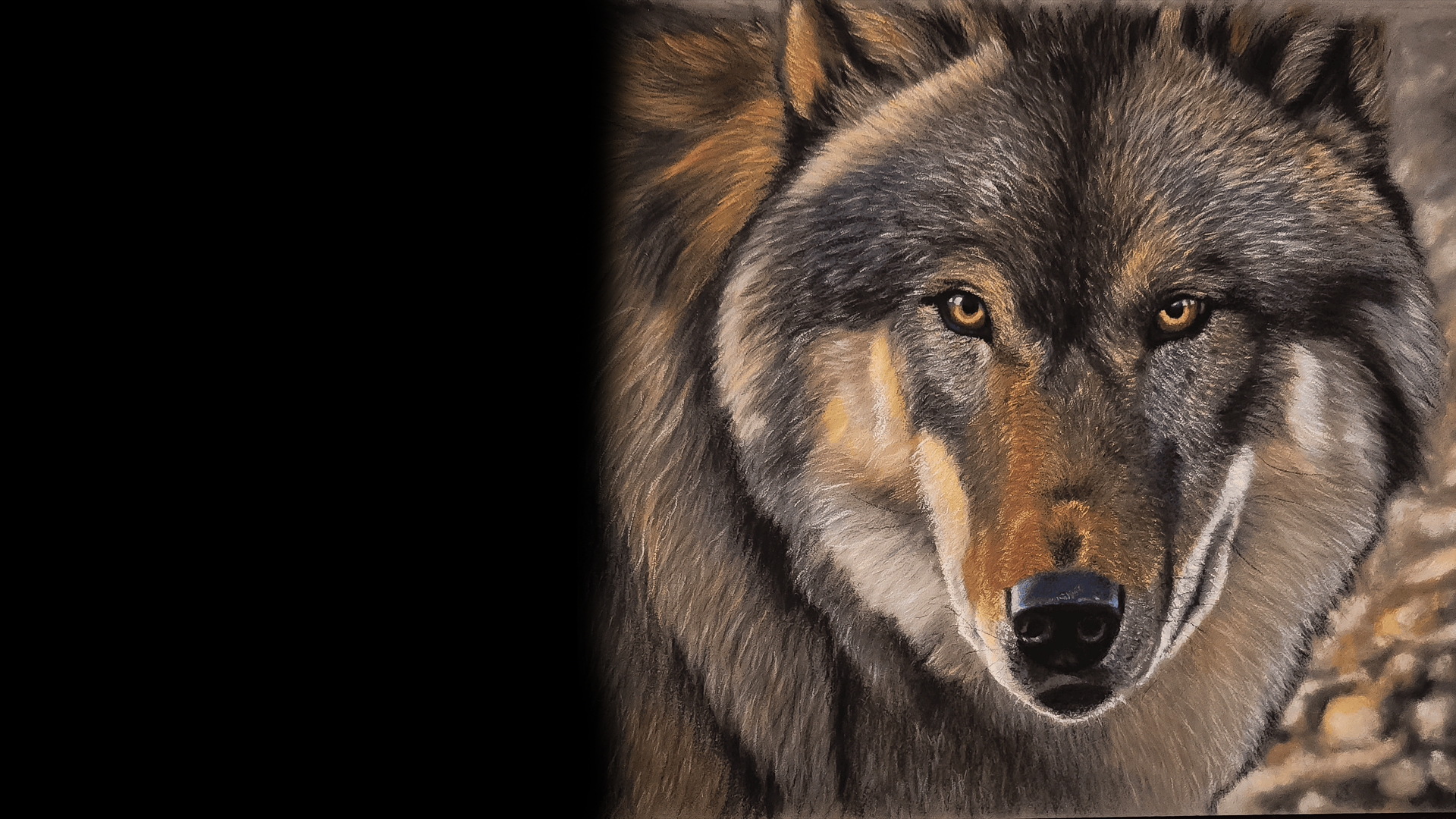 Amber Eyes — Pastel pencils