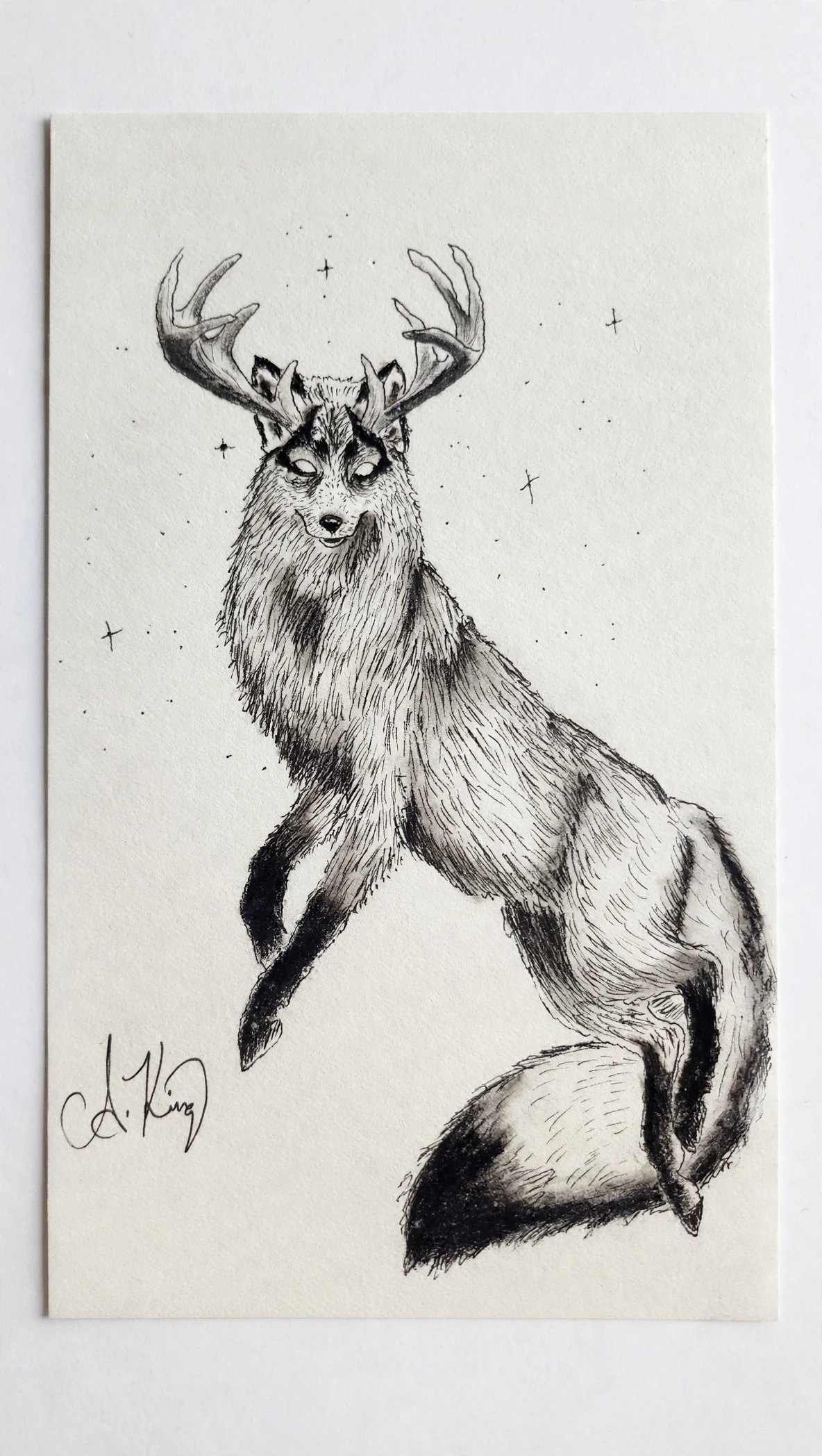 Fox Stag — Ink Pen & Charcoal