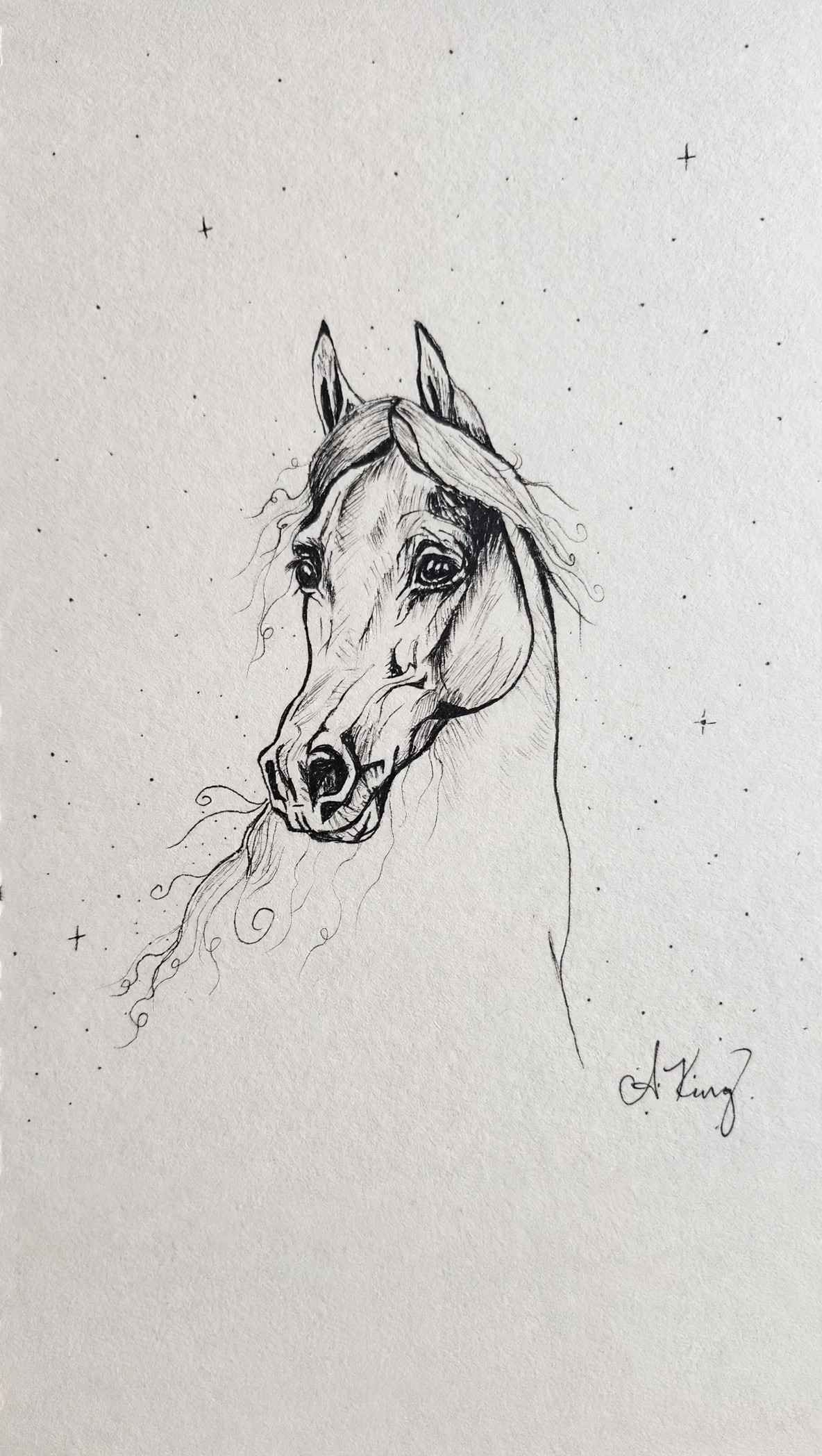 Arabian Mare — Ink