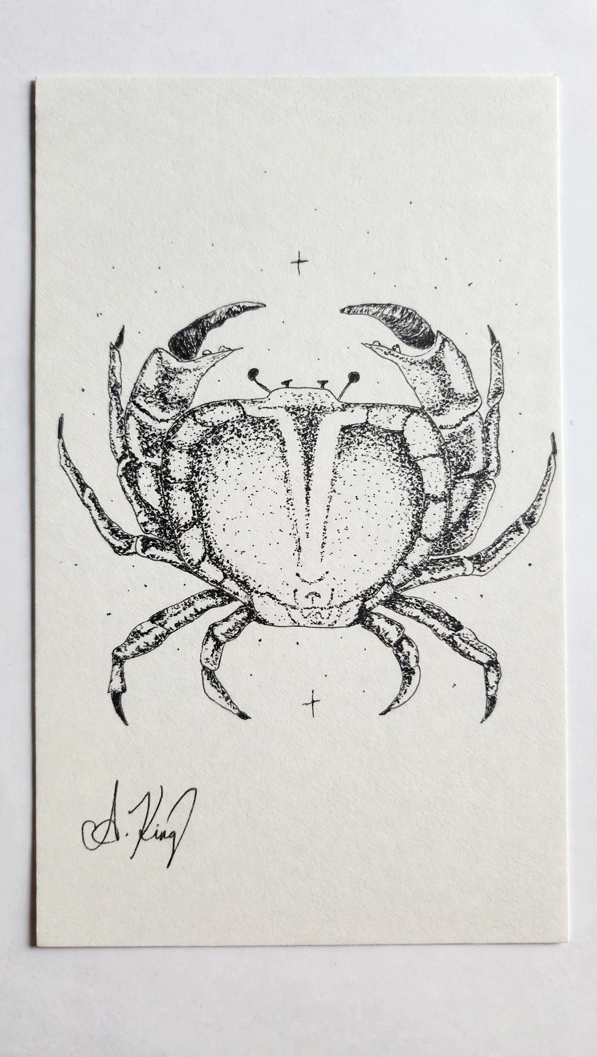 Cancer — Ink pen