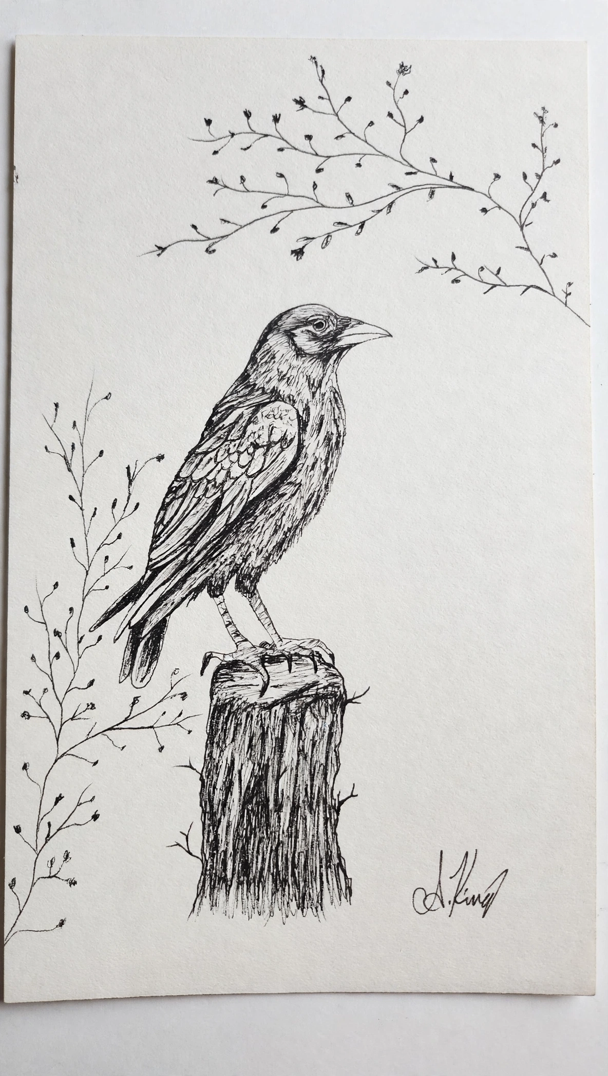 The Watcher — Ink pen