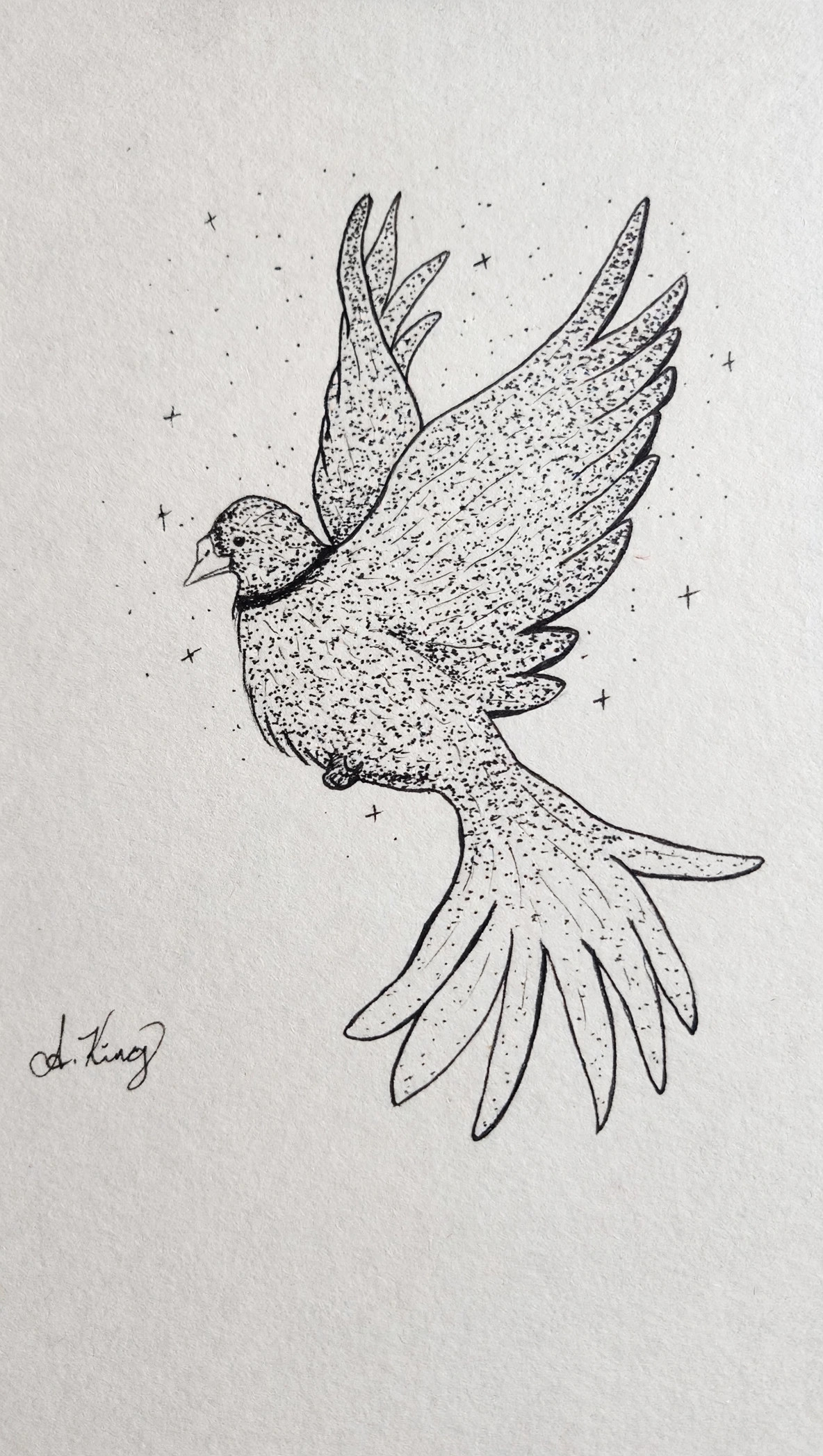 Freedom — Stippled ink