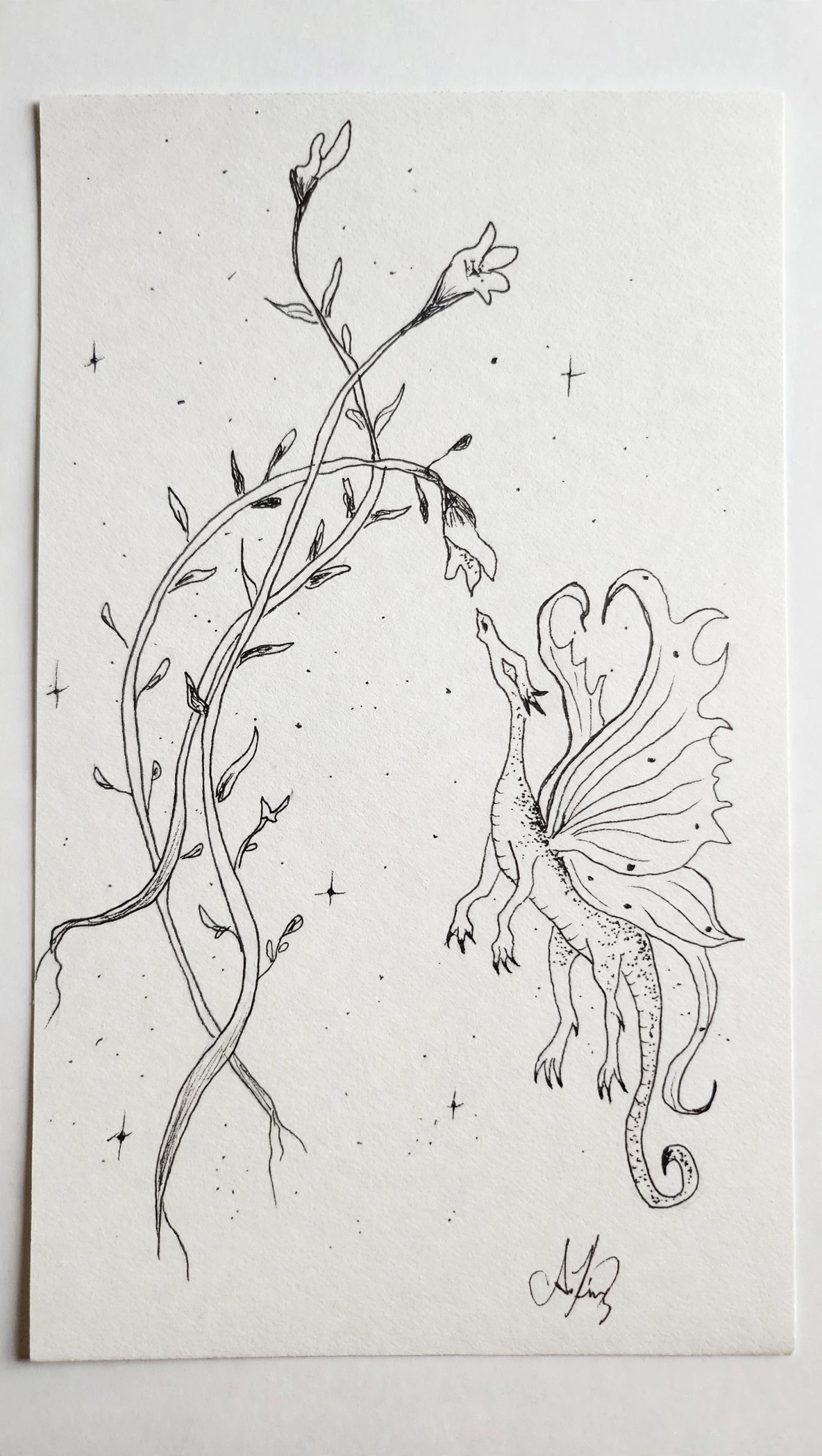 Dragon's Delight — Ink pen
