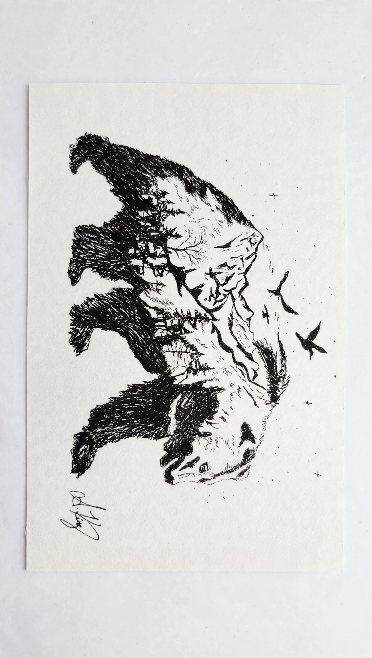 Bear Mountain — Ink pen