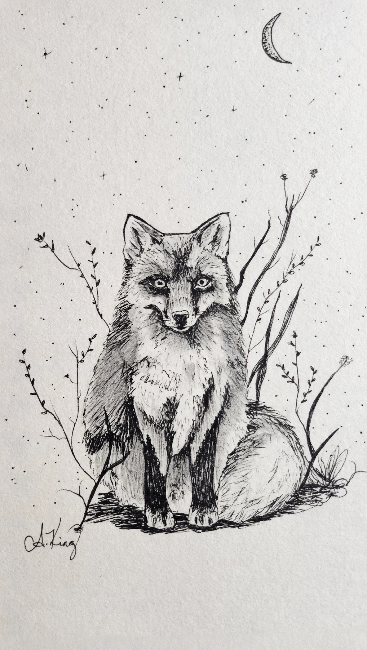 Sitting Fox — Ink
