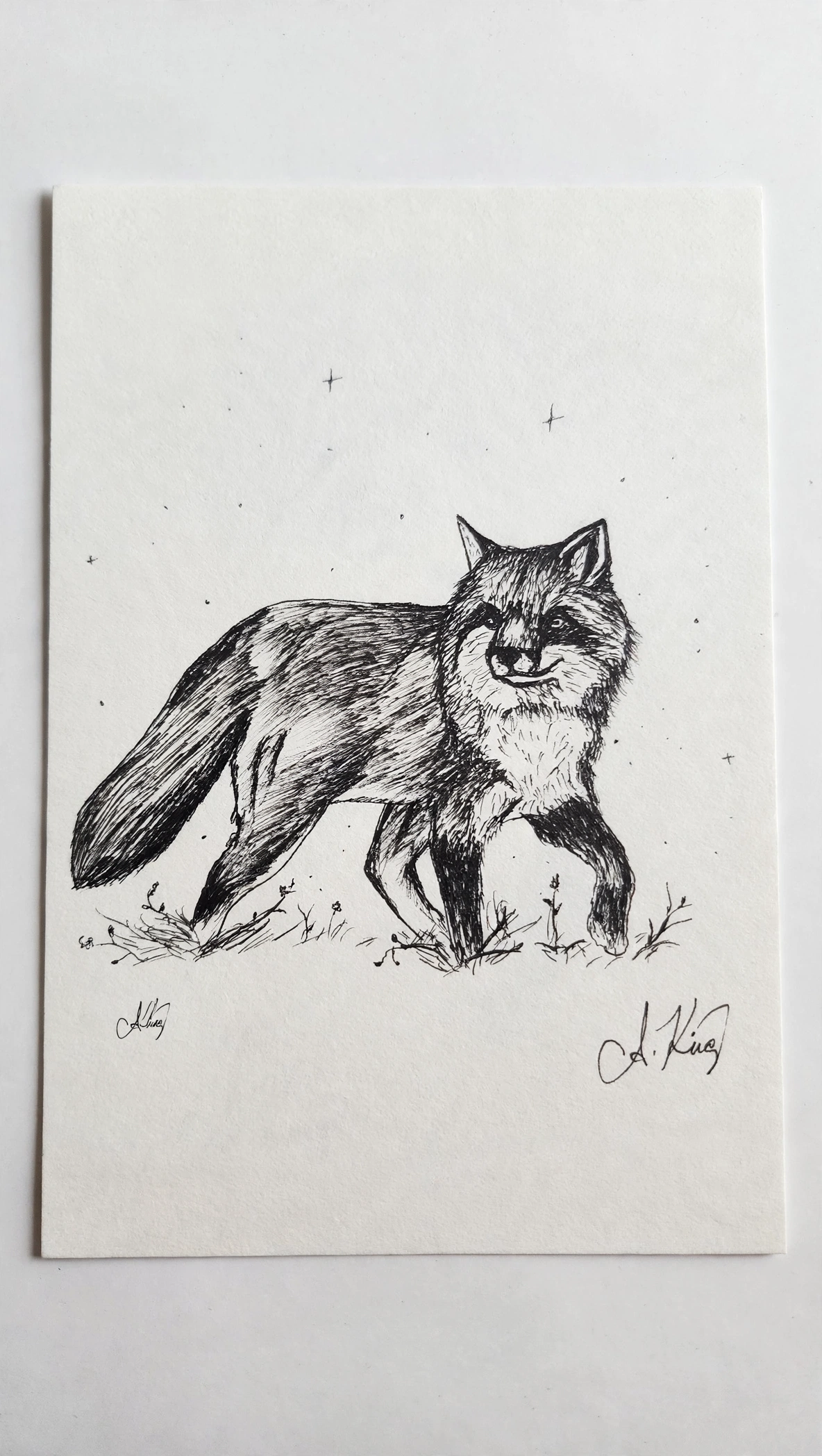 Curious Fox — Ink pen