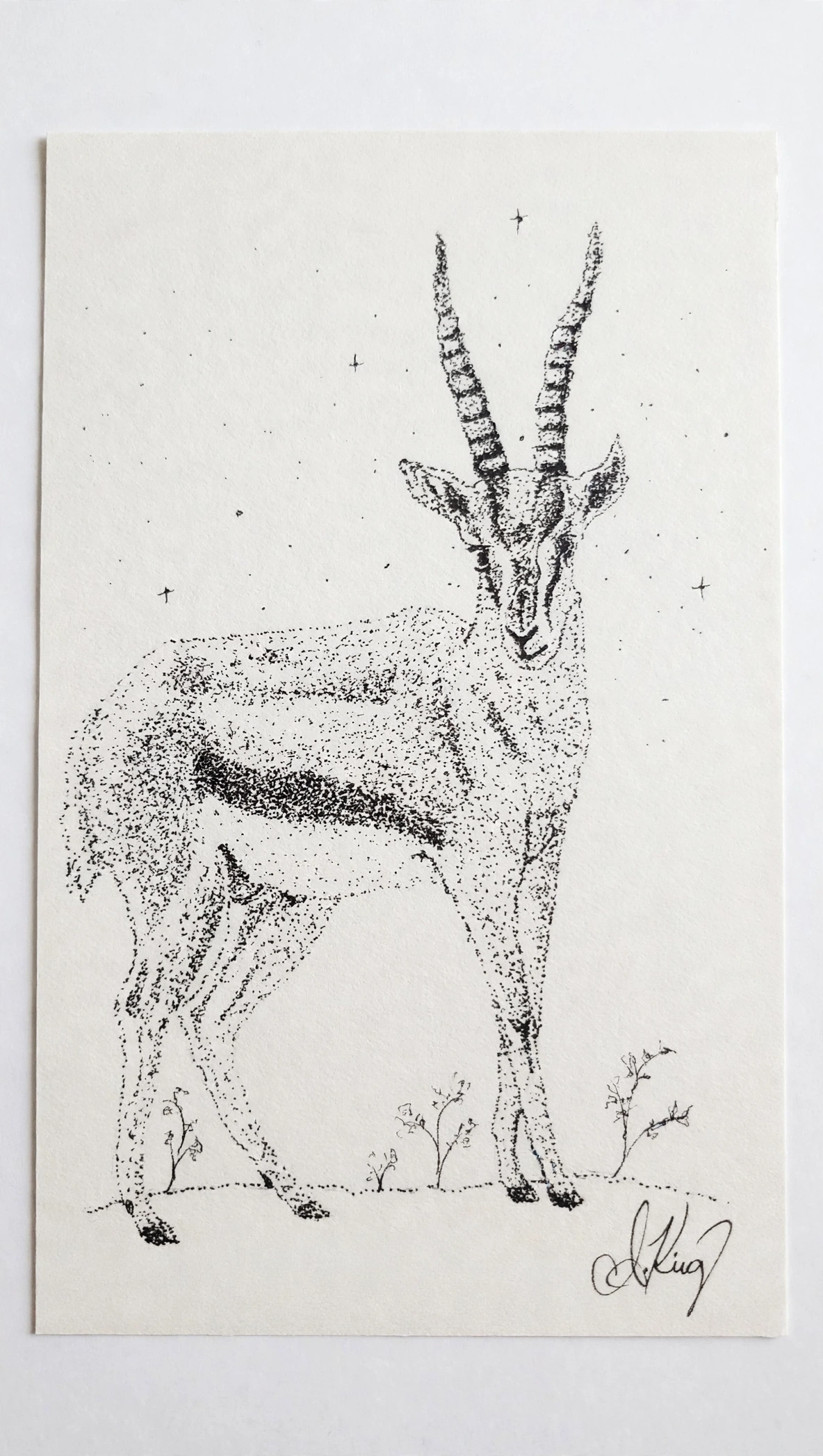 Gazelle — Ink pen
