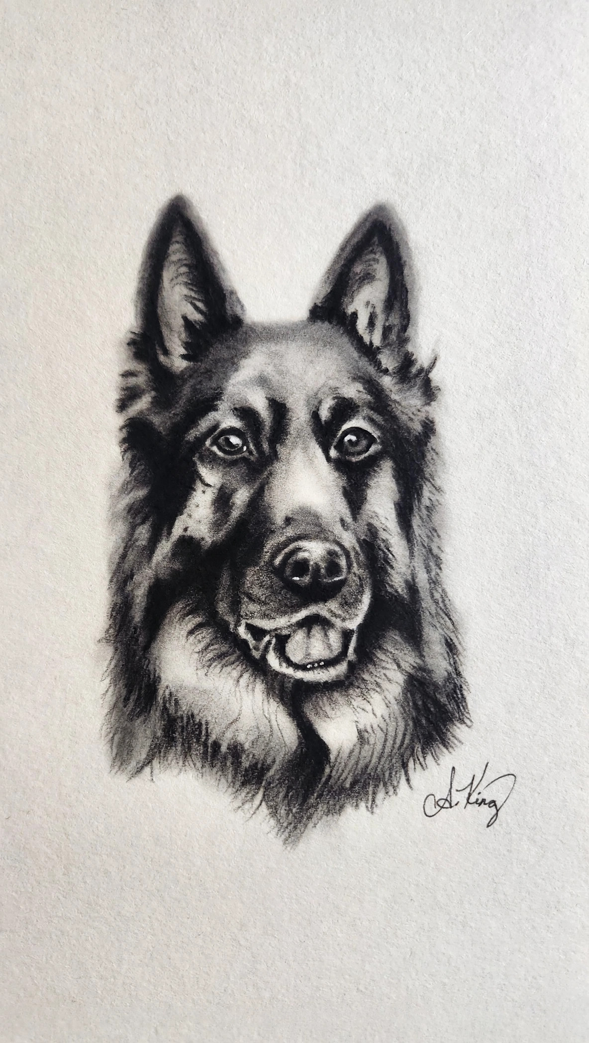 Man's Best Friend — Charcoal & Pencil
