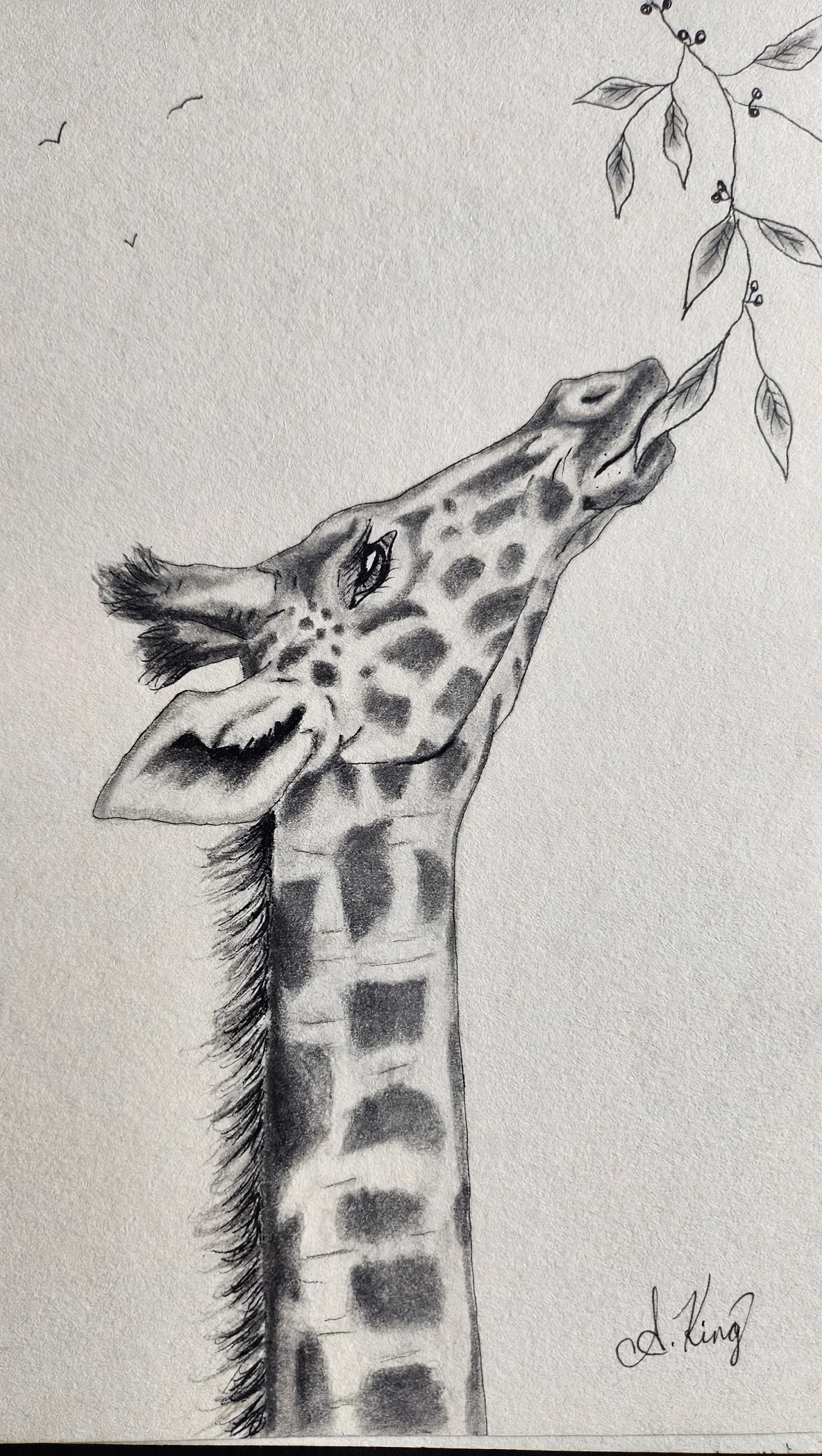 Yum — Pencil