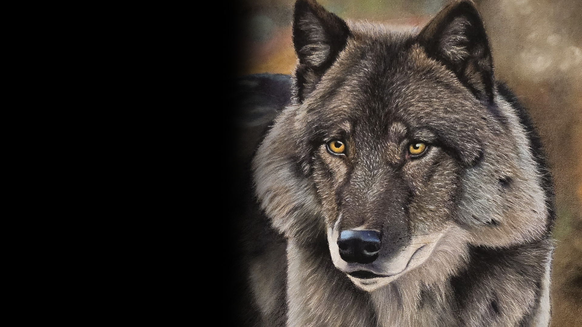 Grey — Pastel pencils