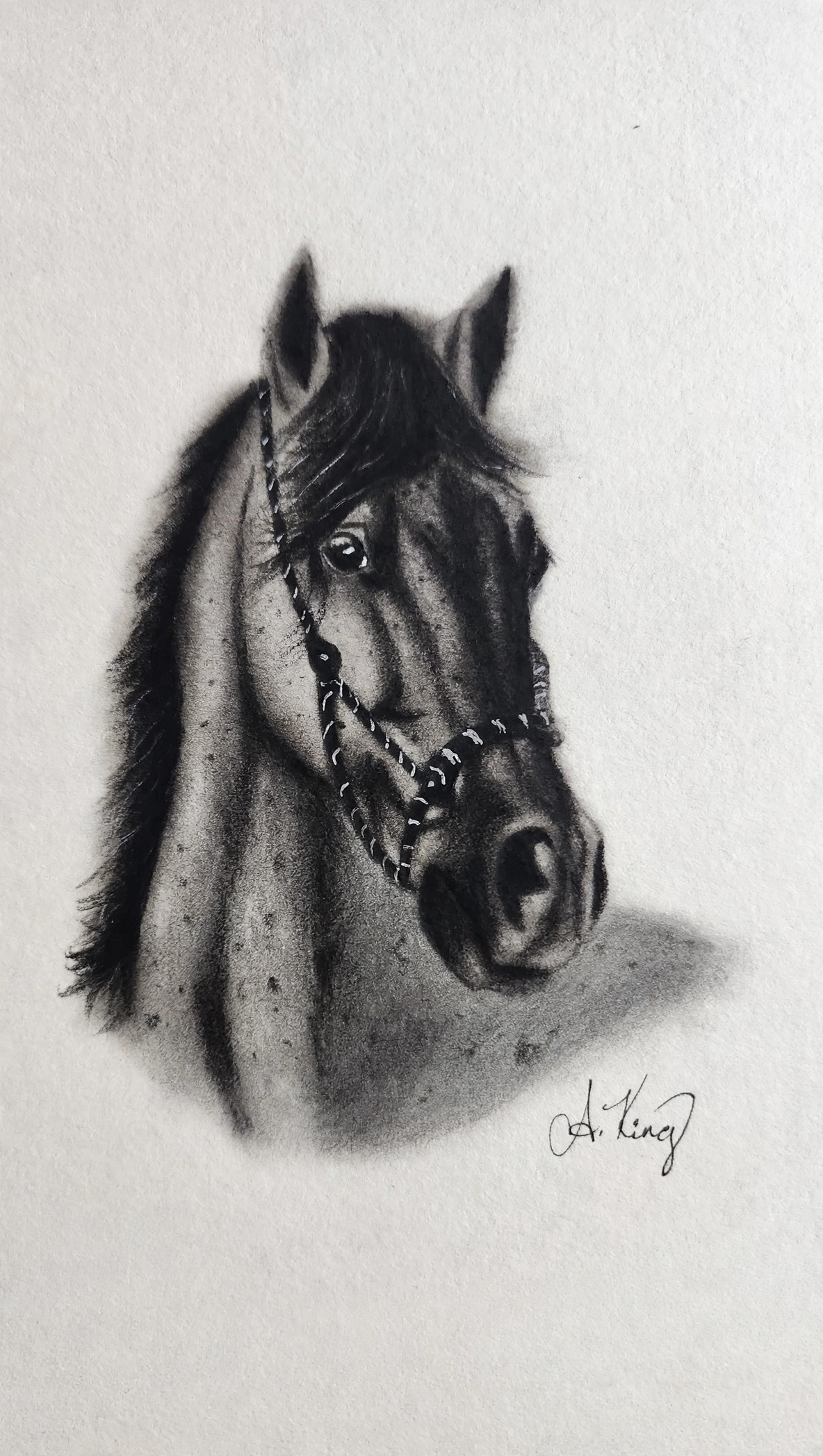 Charcoal Horse — Charcoal & Pencil