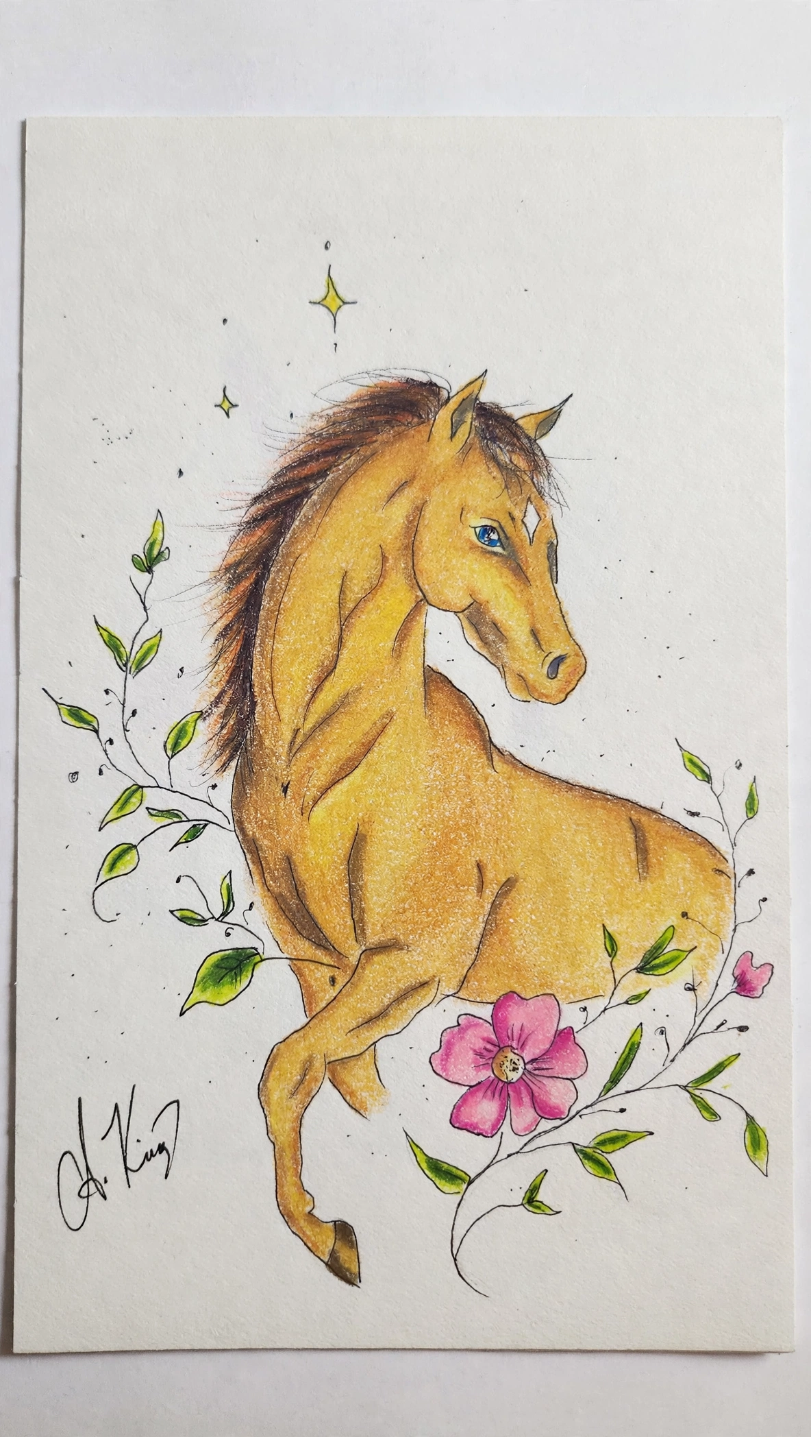 Star Of Mine — Ink Pen & Colored Pencil