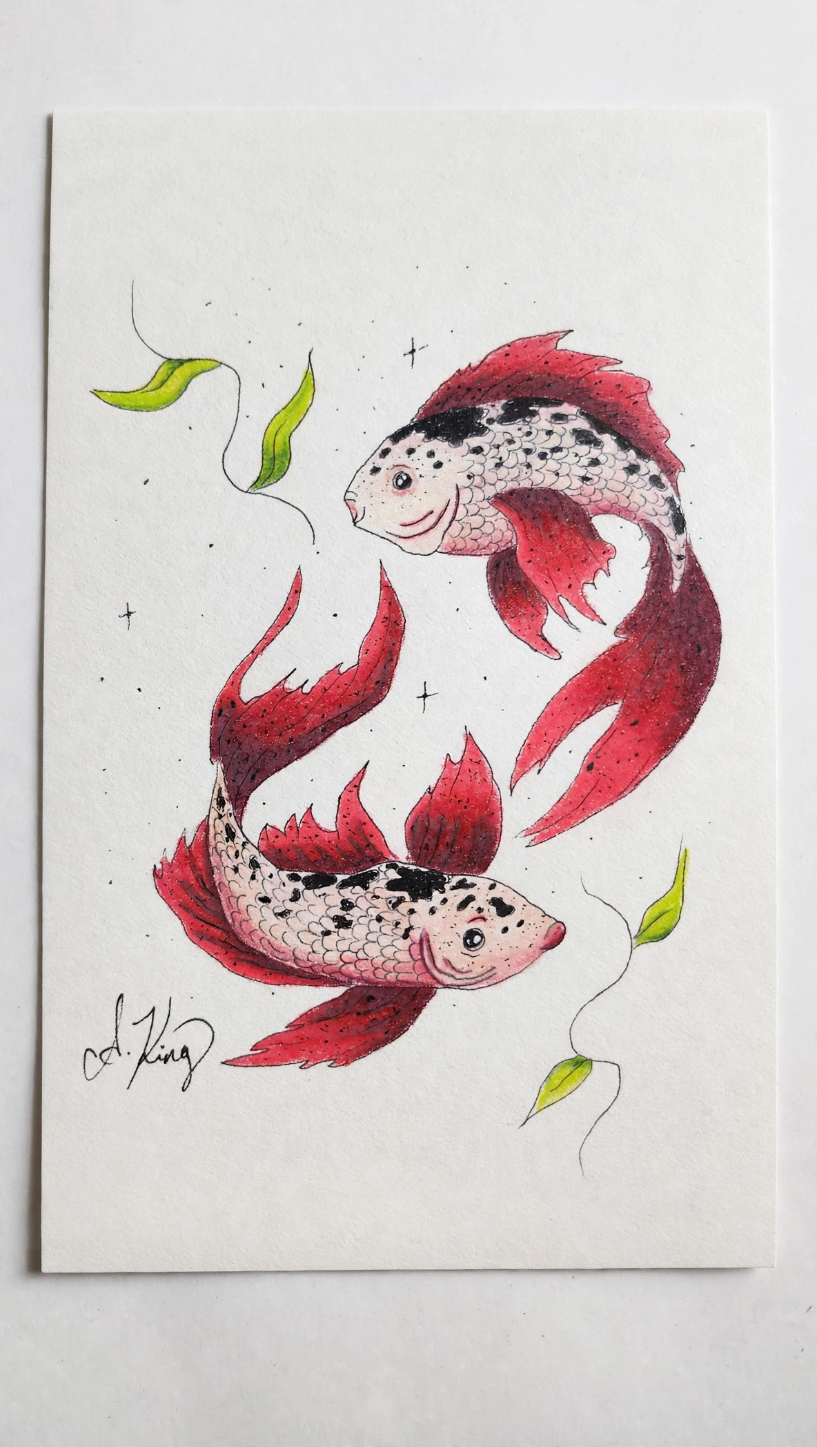 Pisces — Ink Pen & Colored Pencil