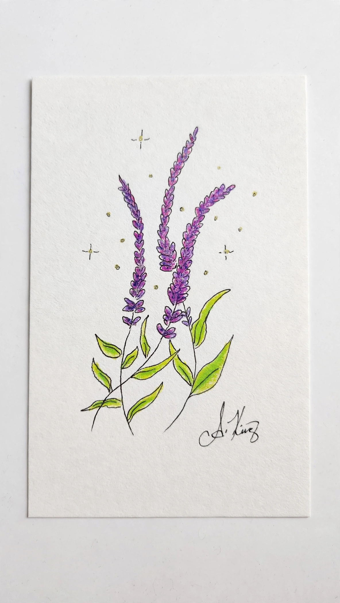 Lavender — Ink Pen & Colored Pencil