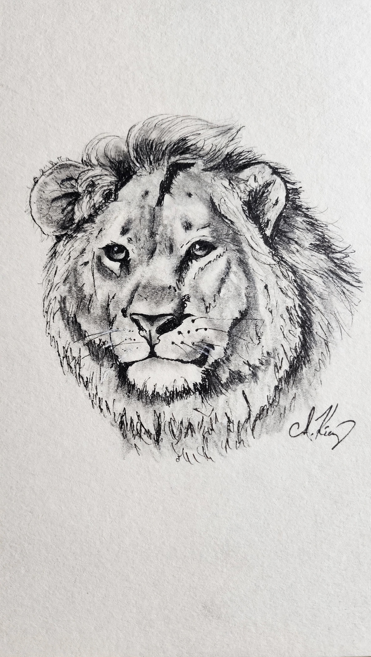 Lion — Ink Pen & Pencil