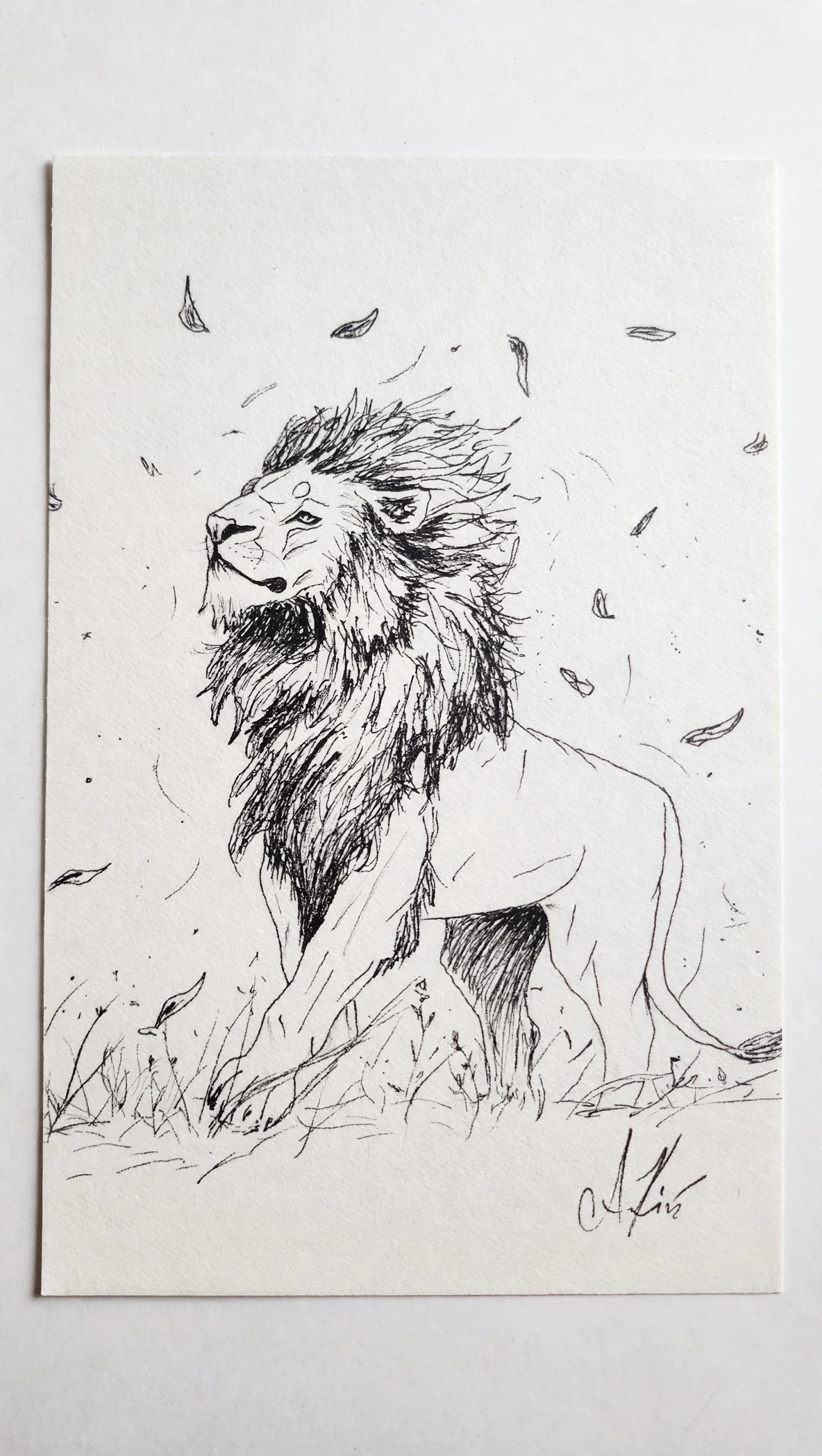 Leo — Ink