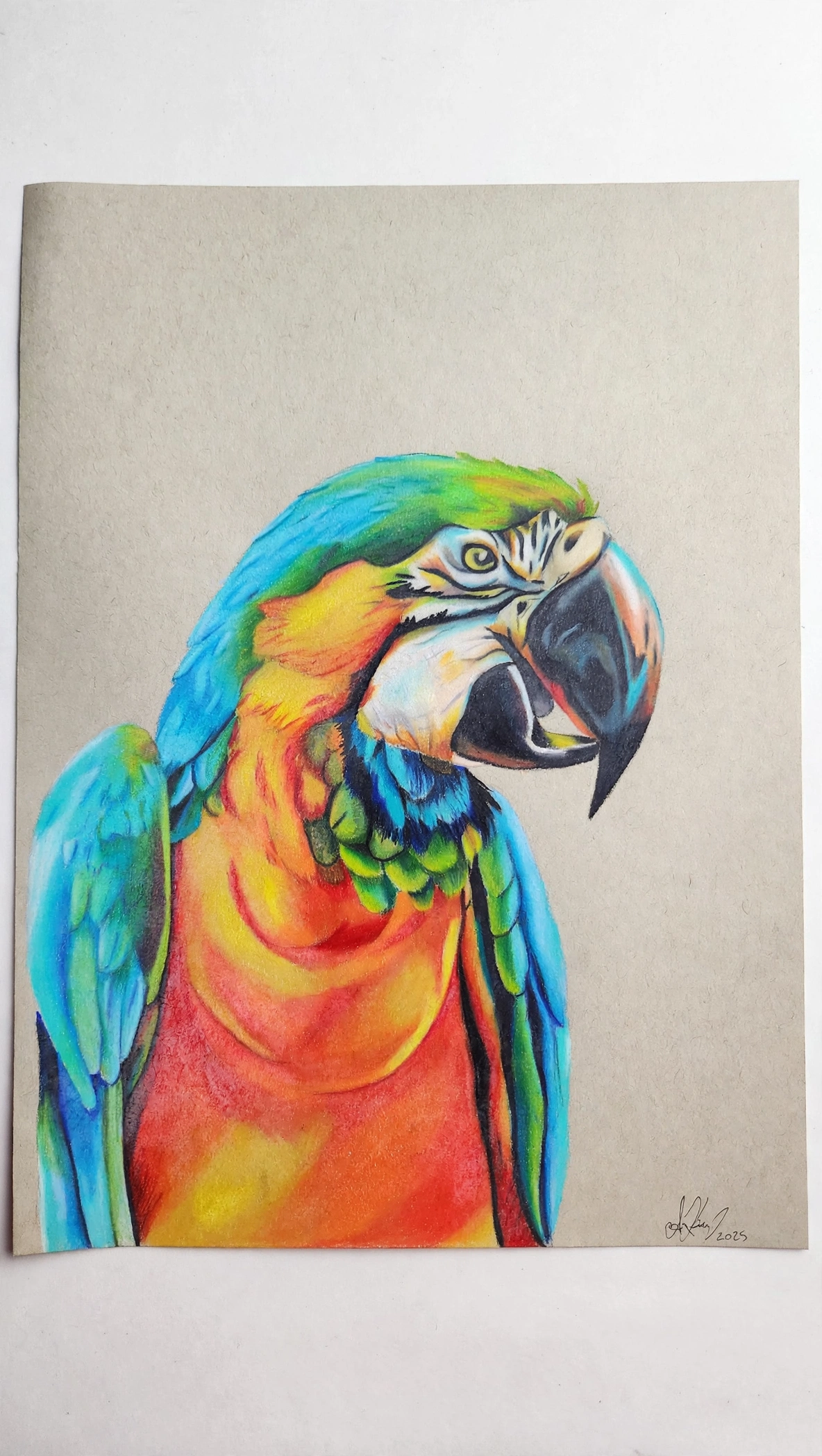 Skittles — Colored pencil on toned paper