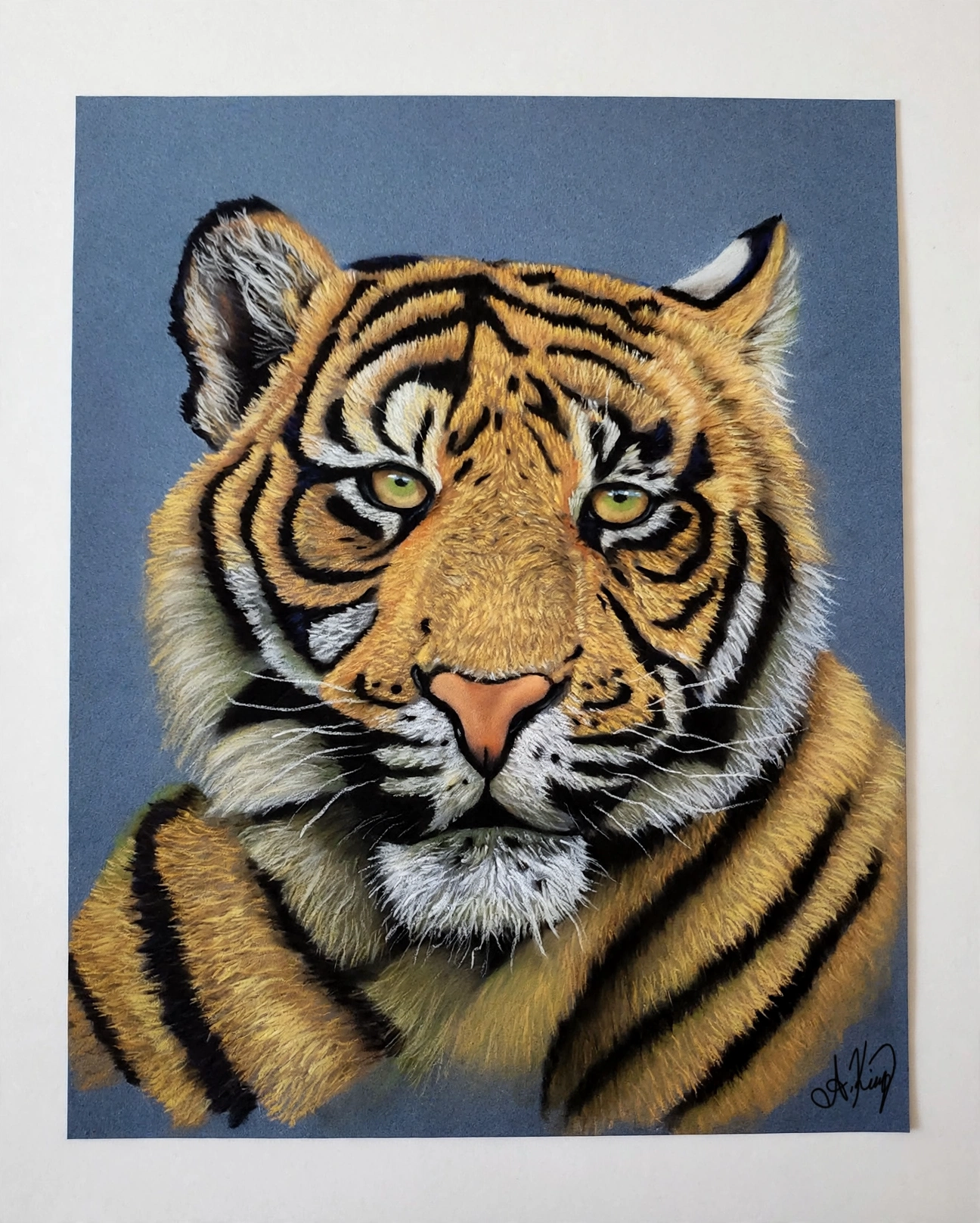 Tiger — Pastel pencils