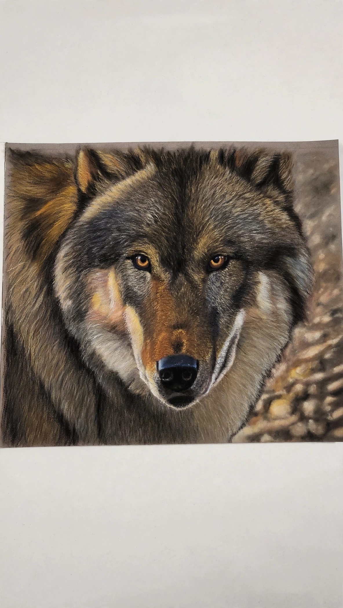 Amber Eyes — Pastel pencils
