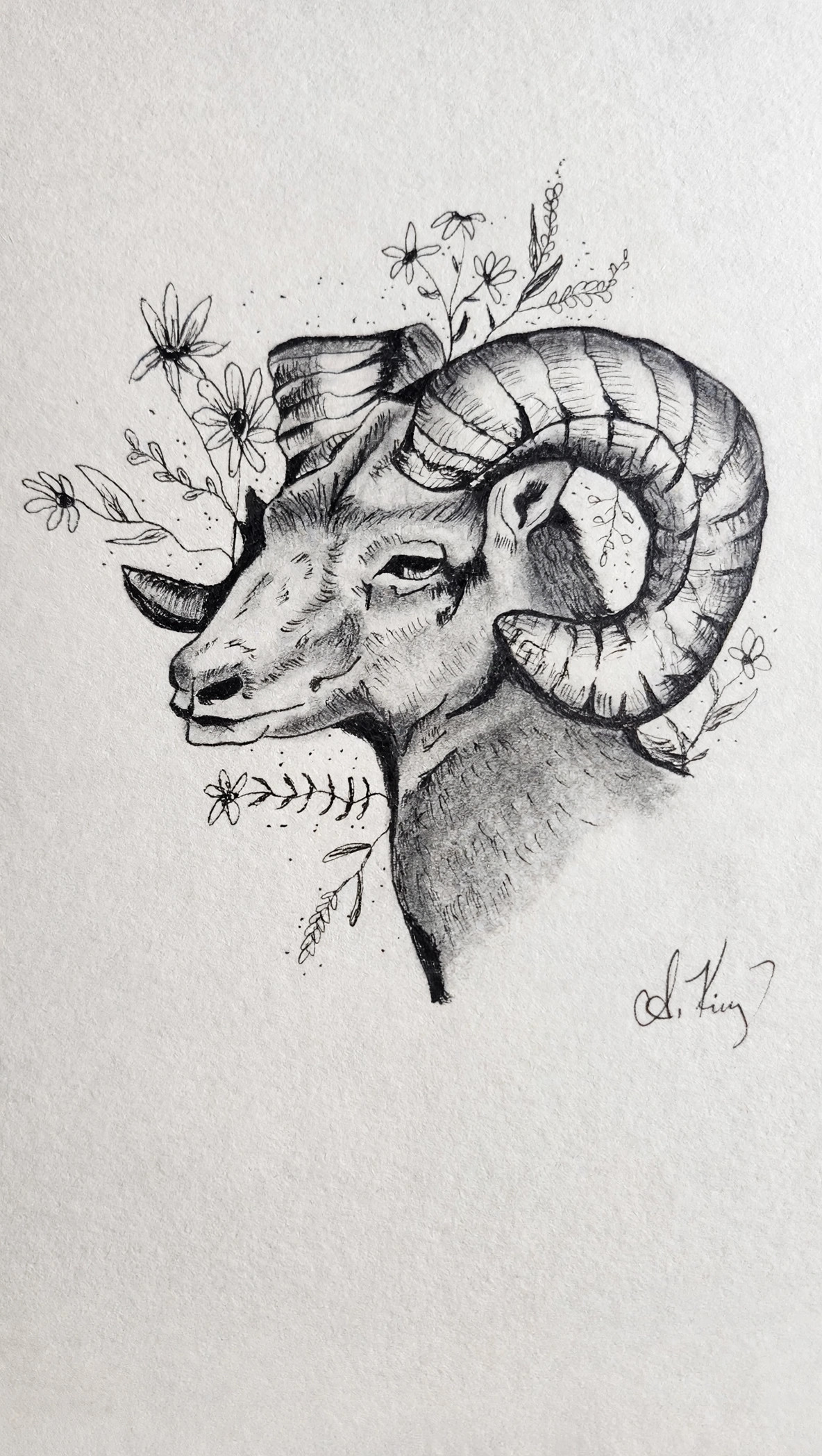 Aries — Ink Pen & Pencil