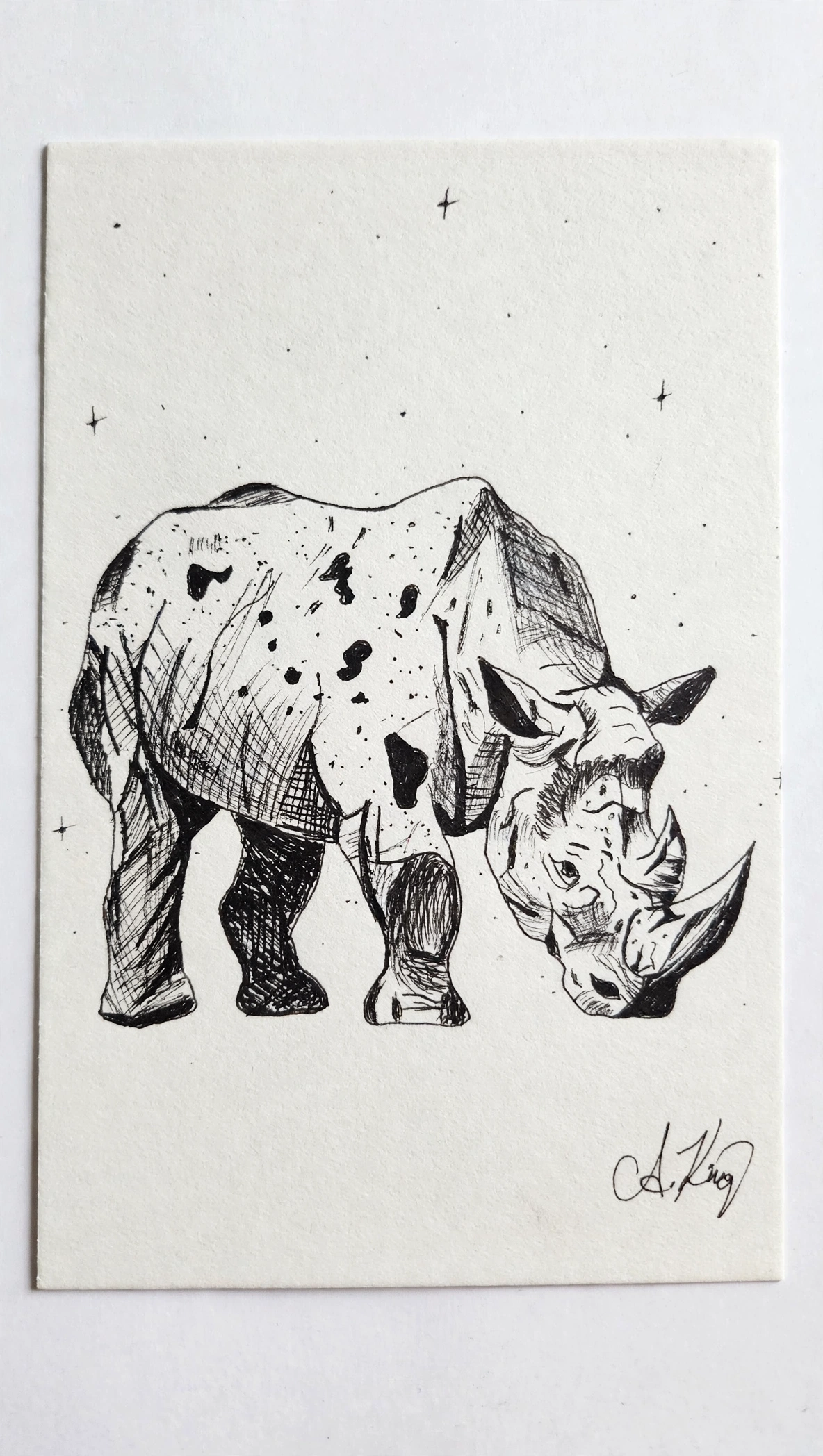 Rhinoceros — Ink pen