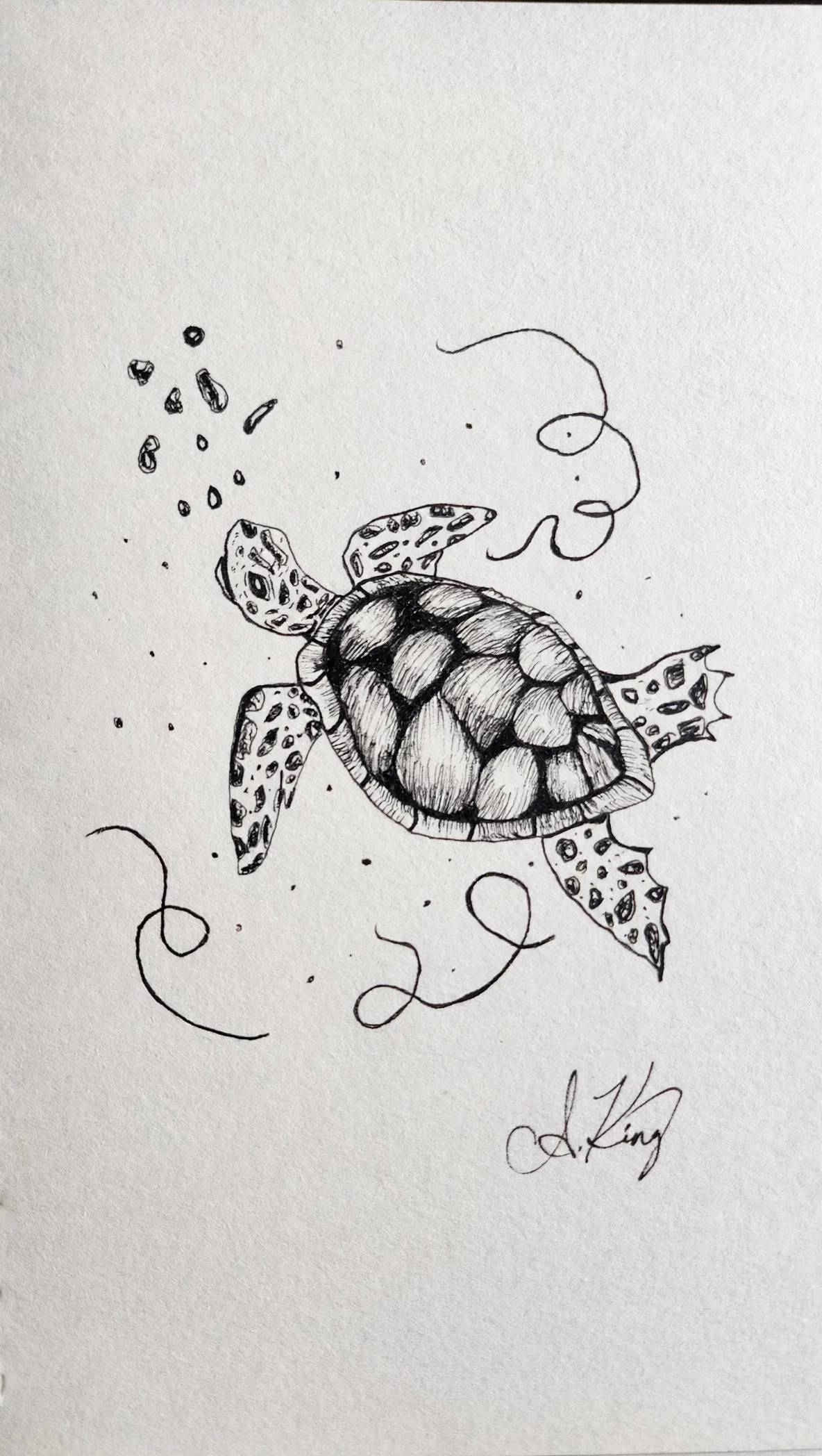 Happy Sea Turtle — Ink