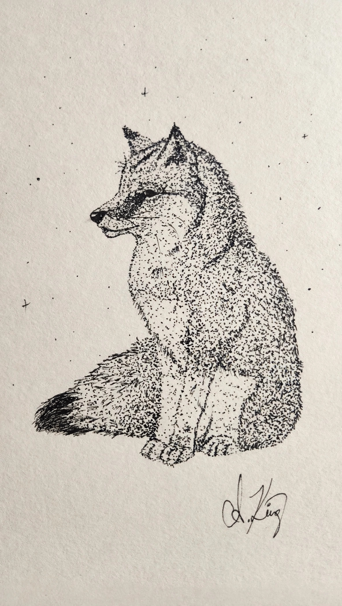 Sitting fox — Stippled ink