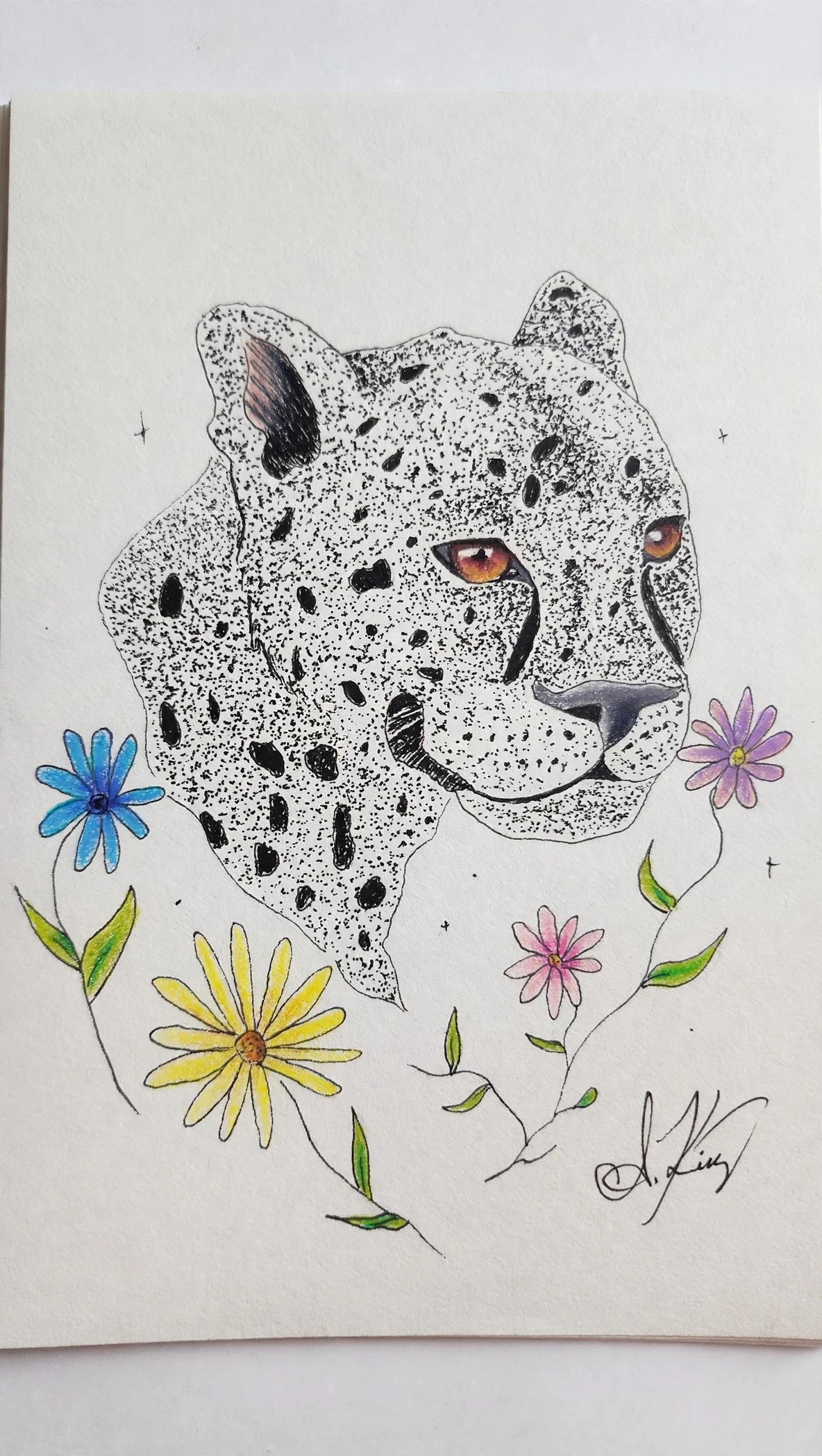 Spots And Daisies — Ink Pen & Colored Pencil