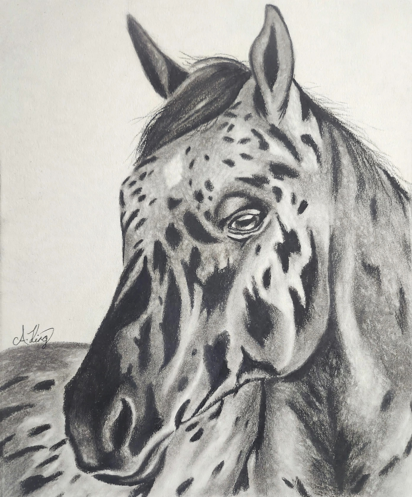 Smudges — Charcoal