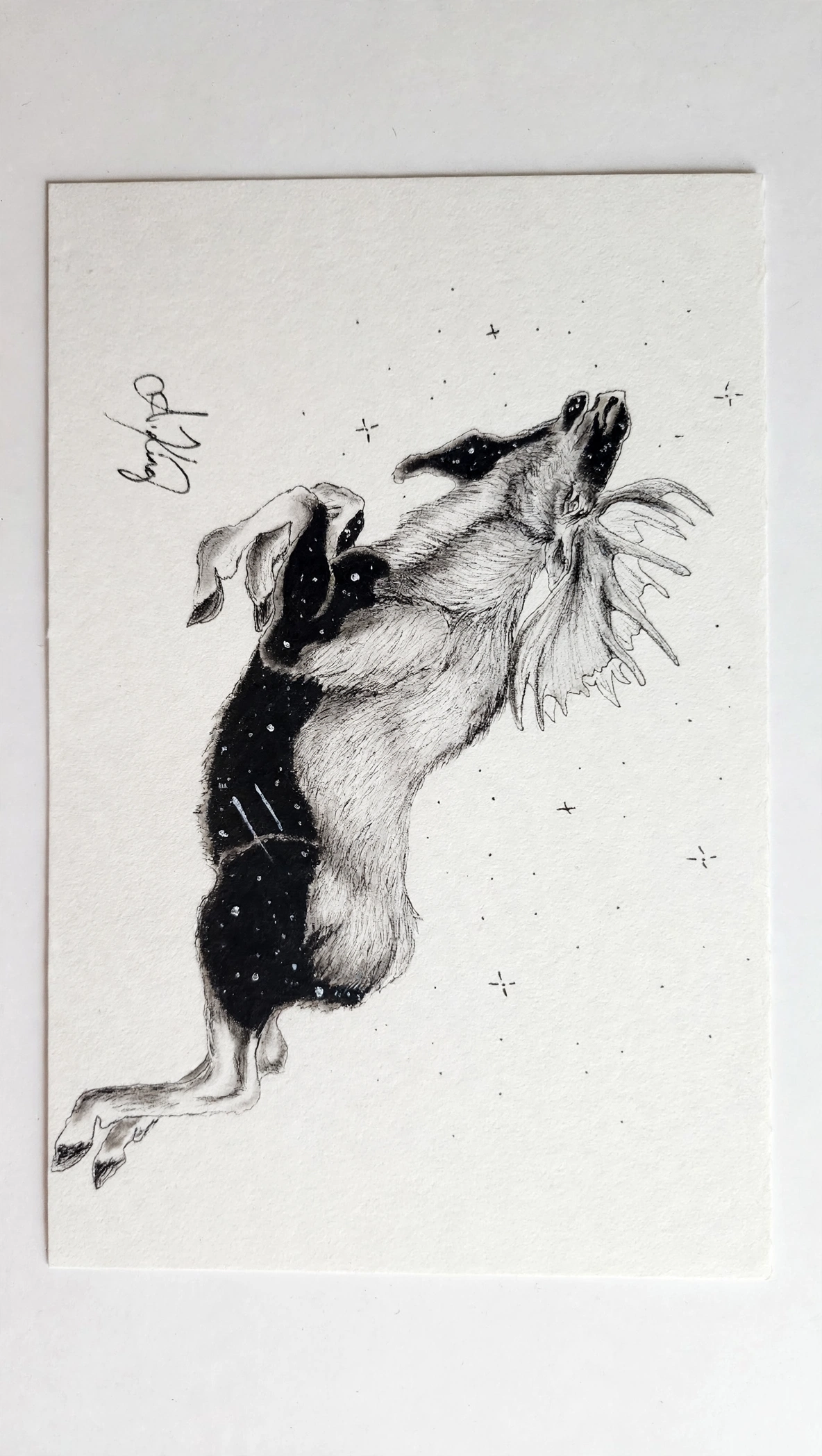 Starry Moose — Ink Pen & Charcoal