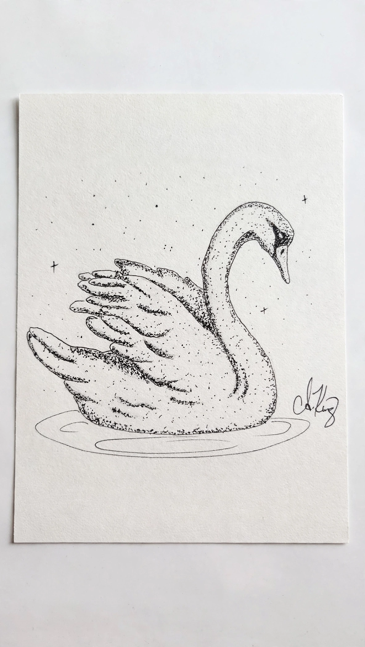 Swan — Ink pen