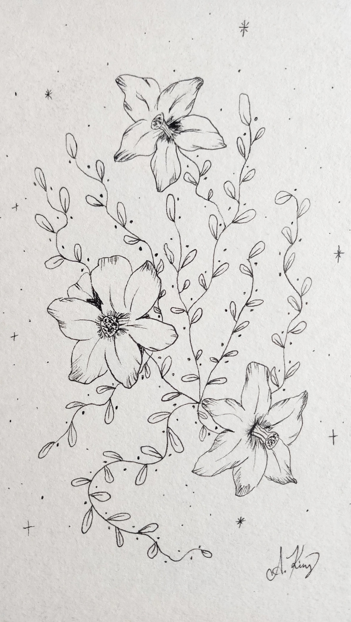 Daffodils — Ink
