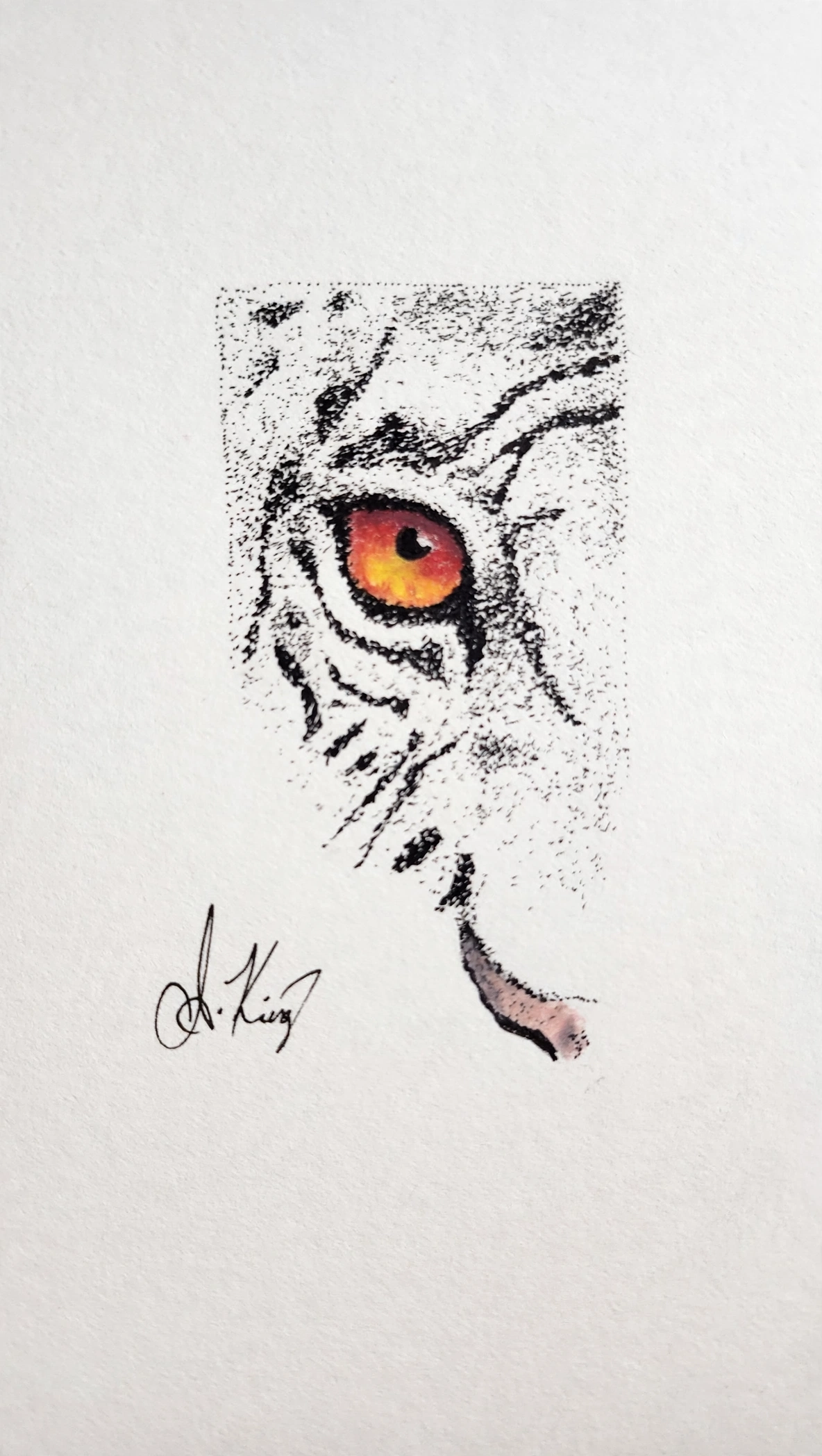 I See You — Ink Pen & Colored Pencil