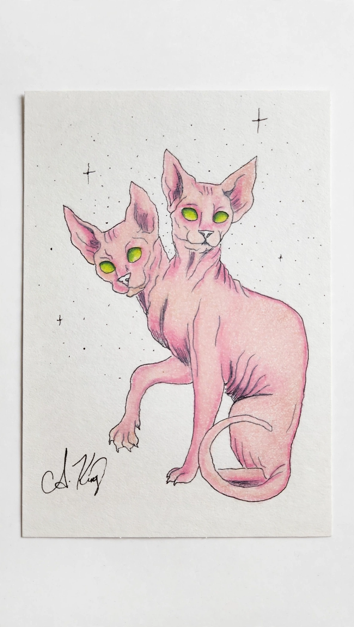 Gemini — Ink Pen & Colored Pencil