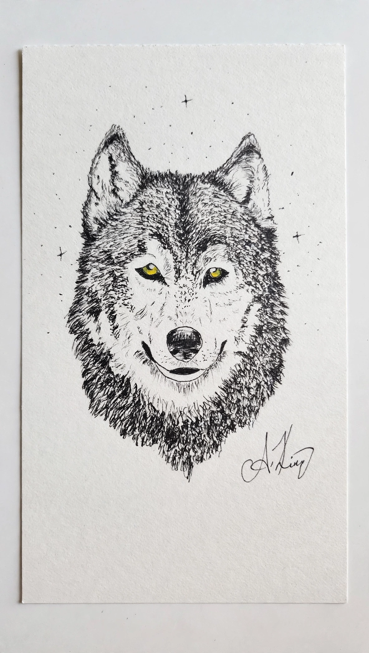 Wolf Gaze — Ink pen
