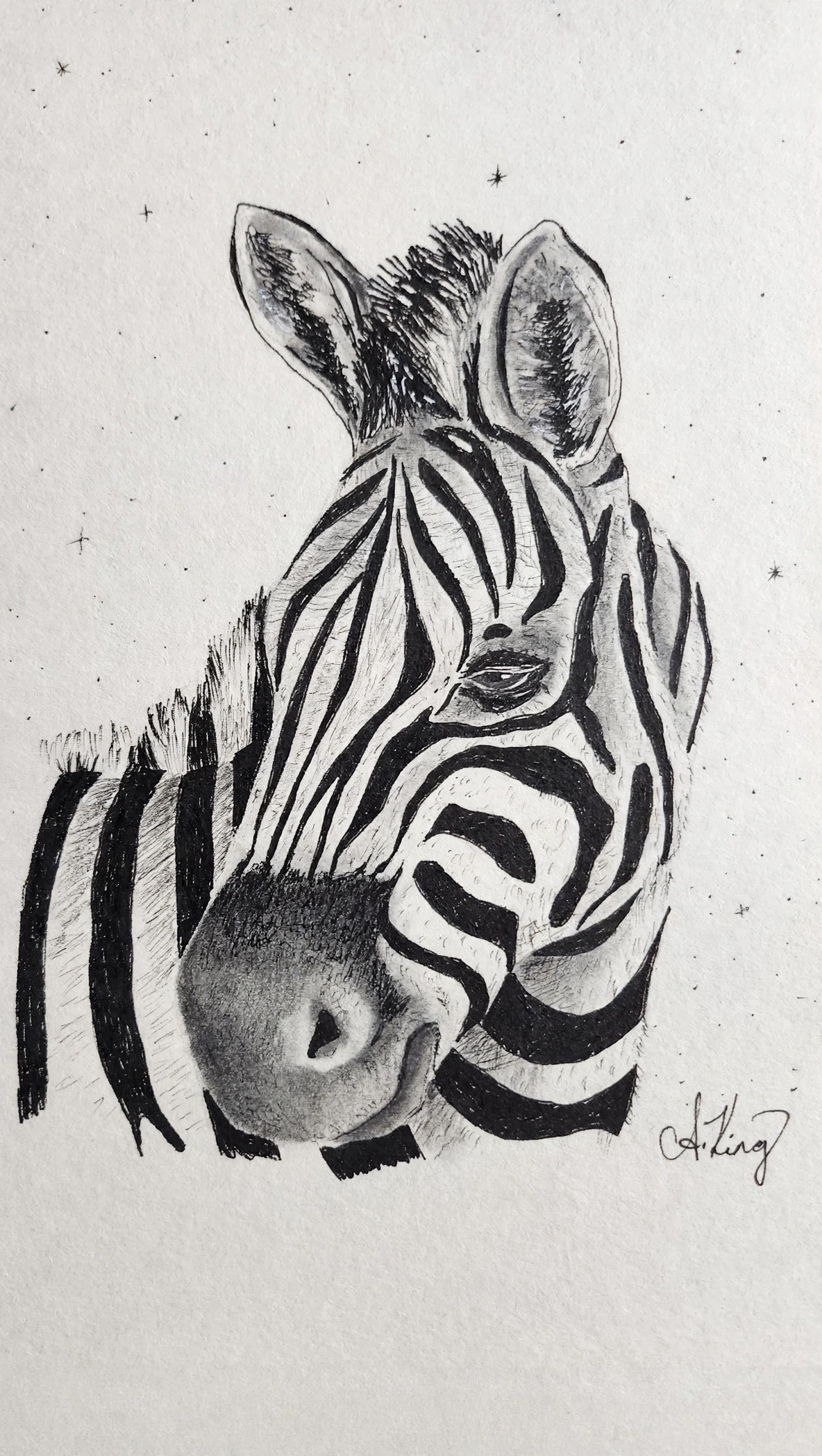 Zebra — Ink